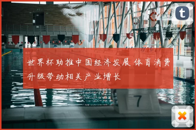 世界杯助推中国经济发展 体育消费升级带动相关产业增长