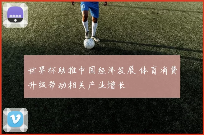 世界杯助推中国经济发展 体育消费升级带动相关产业增长