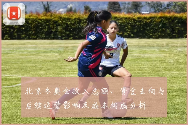北京冬奥会投入总额、资金去向与后续运营影响及成本构成分析
