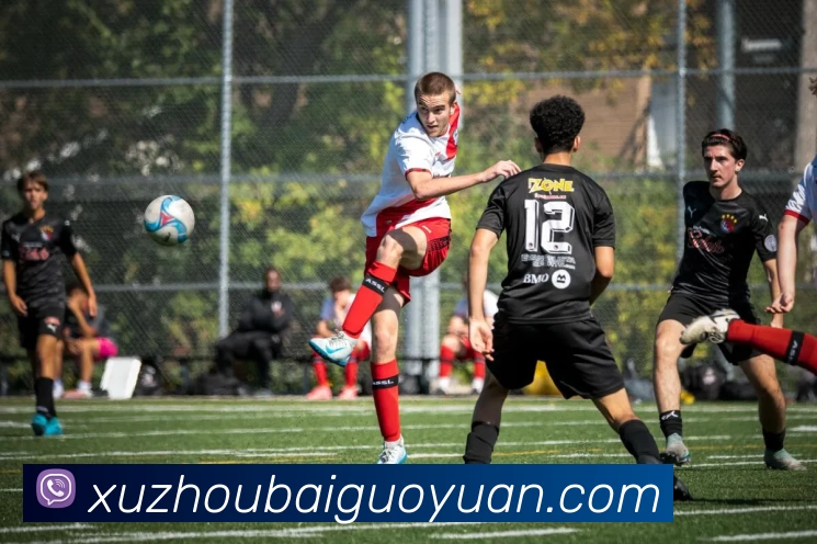 App Interface Preview